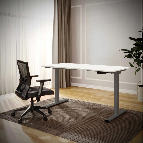 Electric Standing Desk Dual Motor Adjustable Height Desk Home Office