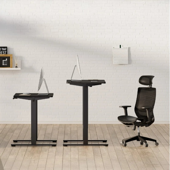 Electric Standing Desk Dual Motor Adjustable Height Desk Home Office