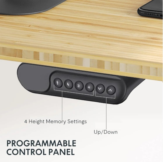 Electric Standing Desk Dual Motor Adjustable Height Desk Home Office