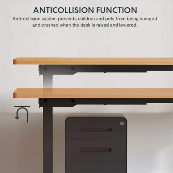 Electric Standing Desk Dual Motor Adjustable Height Desk Home Office