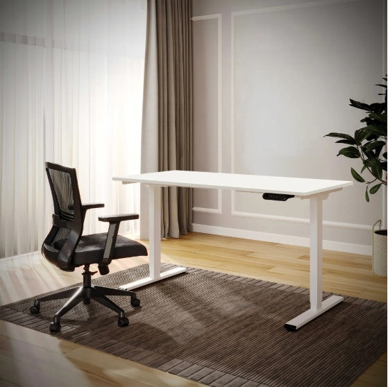 Electric Standing Desk Dual Motor Adjustable Height Desk Home Office