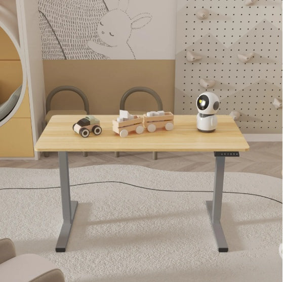 Electric Standing Desk Adjustable Height Desk Home Office Computer Workstation Sit Stand Up Desk