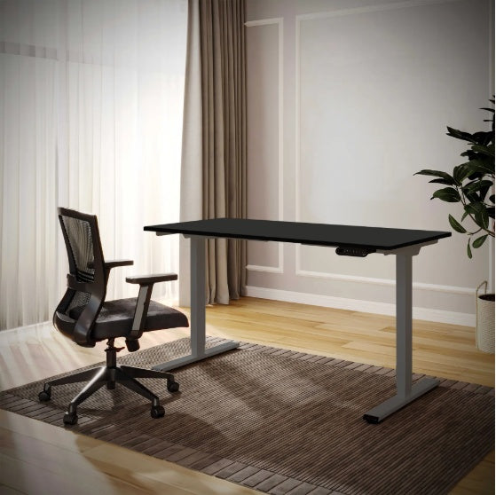 Electric Standing Desk Dual Motor Adjustable Height Desk Home Office