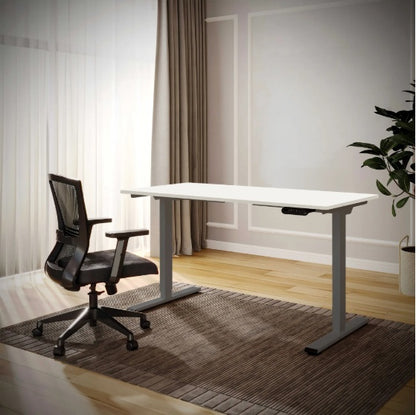 Electric Standing Desk Dual Motor Adjustable Height Desk Home Office