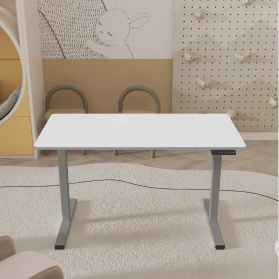 Electric Standing Desk Adjustable Height Desk Home Office Computer Workstation Sit Stand Up Desk