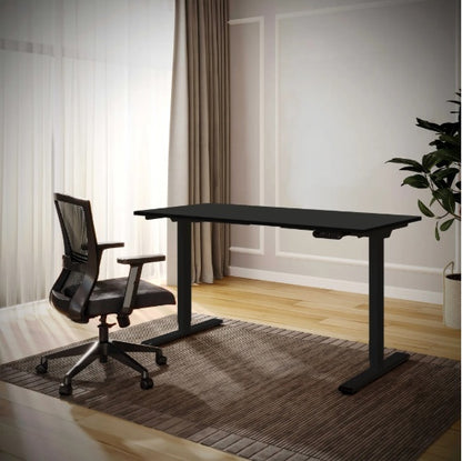 Electric Standing Desk Dual Motor Adjustable Height Desk Home Office