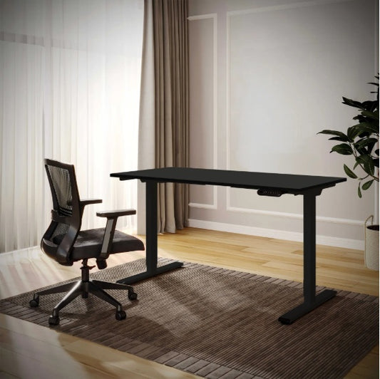 Electric Standing Desk Dual Motor Adjustable Height Desk Home Office